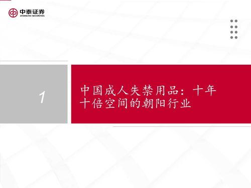国产37页,揭秘我国科技发展的新篇章